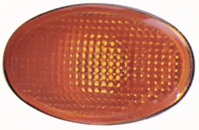 BSG 30-810-017 Çamurluk Sınyalı 89VB/13K354/AA