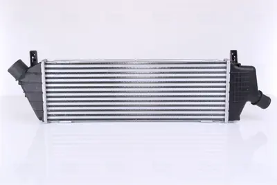 BSG 63-535-001 Turbo Radyatörü 14461BC400