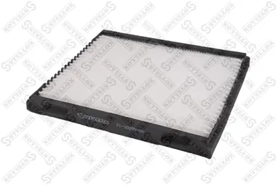 BSG 85-145-003 Polen Fıltresı 0897400850