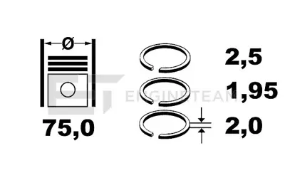 FEDERAL-MOGUL MOTORPARTS 06-838311.00 Segman AV6Q/6148/AA