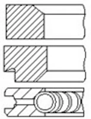 FEDERAL-MOGUL MOTORPARTS 06-839600.00 Segman 6G9Q/6148/AA