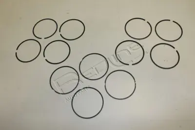 FEDERAL-MOGUL MOTORPARTS 06-899307.00 Segman 13013/30120