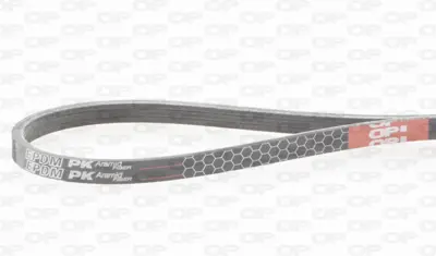 GATES RDM738K3 V Kayısı 31110/PE0/004