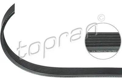 GATES RDM975K6 V Kayısı AV6Q/6C301/DA