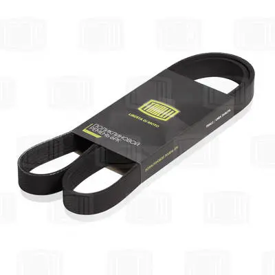 GATES RDM1678K6 V Kayısı 94AB/6C301/AA