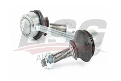BSG 15-310-142 Vıraj Askı Rotu Arka RGD500140