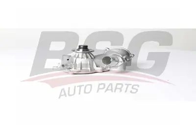 BSG 15-500-010 Devirdaim 11517586781