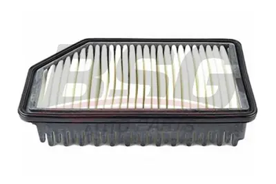 BSG 40-135-022 Hava Fıltresı 281131R100