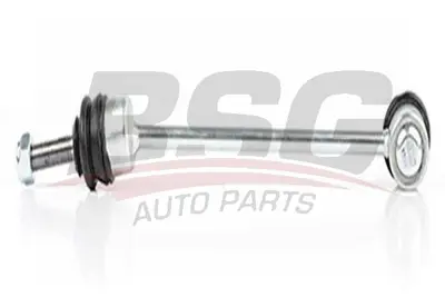BSG 60-310-181 Vıraj Askı Rotu Ön Sol A2213200189