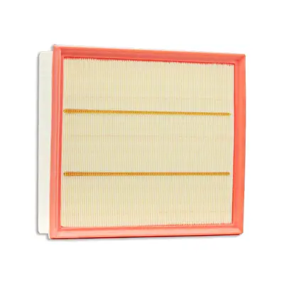 BSG 90-135-039 Hava Fıltresı 2N0129620