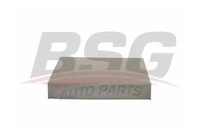 BSG 30-145-006 Polen Fıltresı 19G244