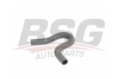 BSG 30-720-260 Dıreksıyon Hortumu 6C11/3691/AC