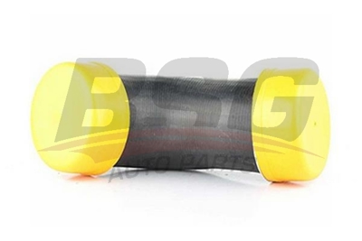 BSG 60-720-102 Turbo Hortumu A2115284782
