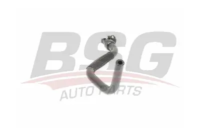 BSG 65-725-013 Gaz Bosaltma Hortumu 1337868, 13408388