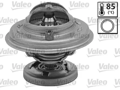 BEHR TX 29 85D Termostat A6012000015