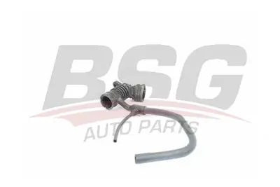 BSG 25-720-010 Hava Fıltre Hortumu 46478774