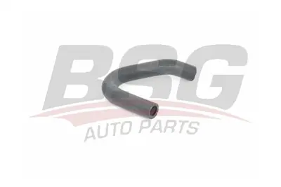 BSG 25-720-013 Emısyon Hortumu 55184653