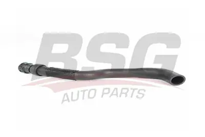 BSG 30-720-241 Kalorıfer Hortumu Gırıs 18K579