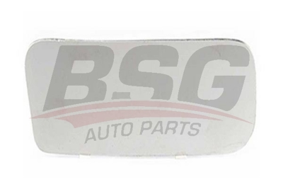 BSG 30-910-015 Ayna Camı Sag 2T14/17682