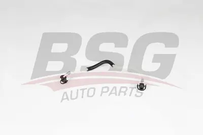 BSG 60-725-013 Yakıt Hortumu A6110703232