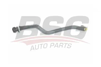 BSG 75-720-005 Kalorıfer Hortumu 7700434300