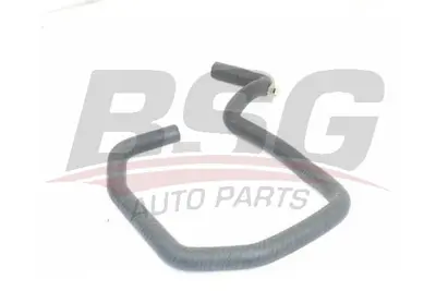 BSG 75-720-024 Kalorıfer Hortumu 8200170899