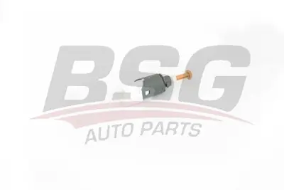 BSG 75-840-005 Fren Pedal Müsürü 8200168238