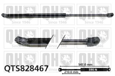 BSG 40-980-054 Bagaj Amortısörü 81770D9000, 81770F1000, 81780D9000, 81780F1000