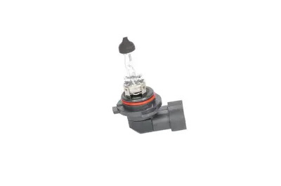 BOSCH 1987302153 Ampül N10130001