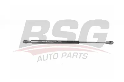 BSG 15-980-003 Bagaj Amortısörü 51241960862