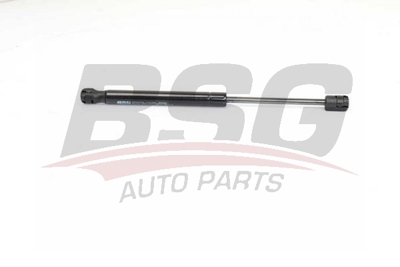 BSG 15-980-020 Motor Kaput Amortısörü 51237309119