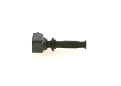 BOSCH 0221604024 Atesleme Bobını AG9G/12A366/BB