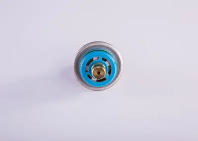 BOSCH 0280160585 Enjektör Basınç Valfı 96MF/9C968/DA