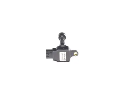 BOSCH 098622A000 Atesleme Bobını 22448/6N002