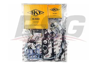 BSG 30-115-010 Takım Conta 7C16/6008