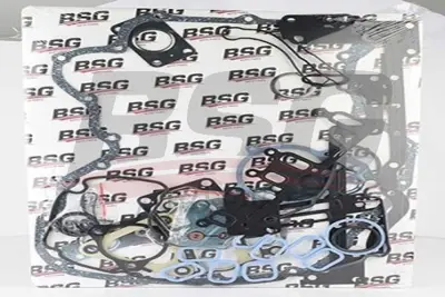 BSG 30-115-013 Takım Conta XS4Q/6008/AAT