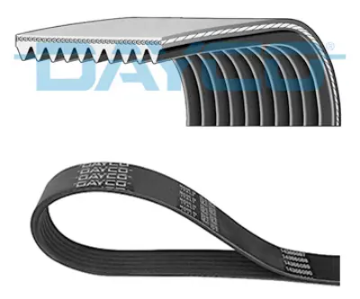 DAYCO 10PK2475HD V Kayısı 1529222