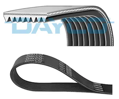 DAYCO 8PK880HD V Kayısı 8PK880HD