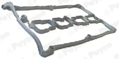 PAYEN JM5002 Külbütör Kapak Contası 60655592