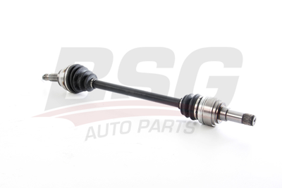 BSG 60-350-011 Aks Komple Arka A6393500710