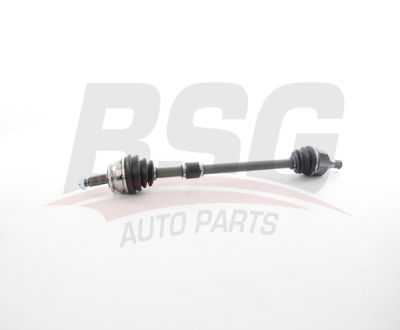 BSG 40-350-012 Aks Komple Ön Sag 495011R200