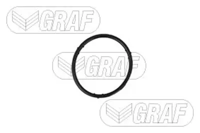 GRAF PA765 SU POMPASI PA765 GOLF-IV BORA POLO 1.6 16V (BCB-AUS-AZD) LEON
