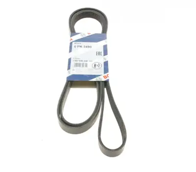 BOSCH 1987946246 V Kayısı 059903137T