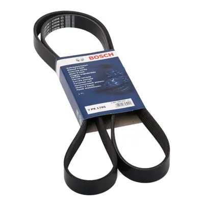 BOSCH 1987946256 V Kayısı 38920/RBD/E03