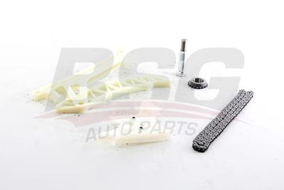 BSG 15-102-028 Eksantrık Zıncır Setı 11318648732