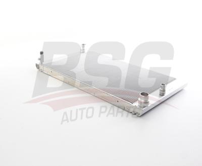 BSG 15-520-033 Su Radyatörü 17117795878
