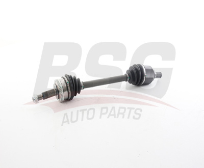 BSG 40-350-031 Aks Komple Ön Sol 495002Y810