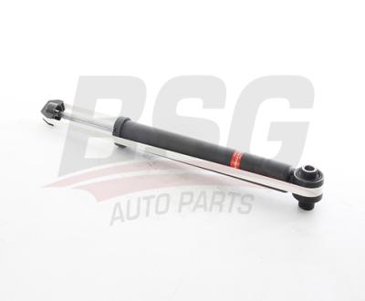 BSG 11-300-005 Amortısör Arka 8E0513036AJ