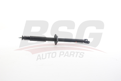 BSG 30-300-069 Amortısör Arka 96FX/18K076/AN