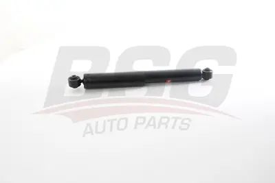BSG 40-300-079 Amortısör Arka 553003E020
